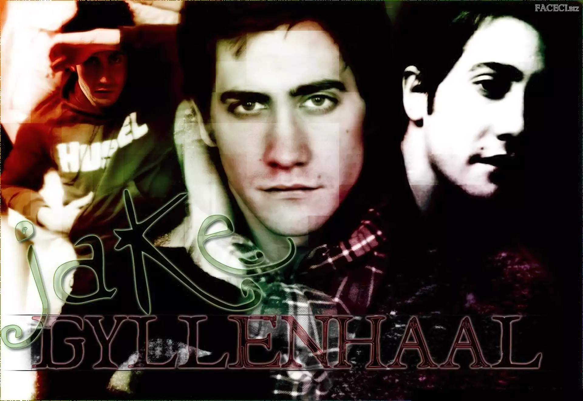 Jake Gyllenhaal, ciemne włosy