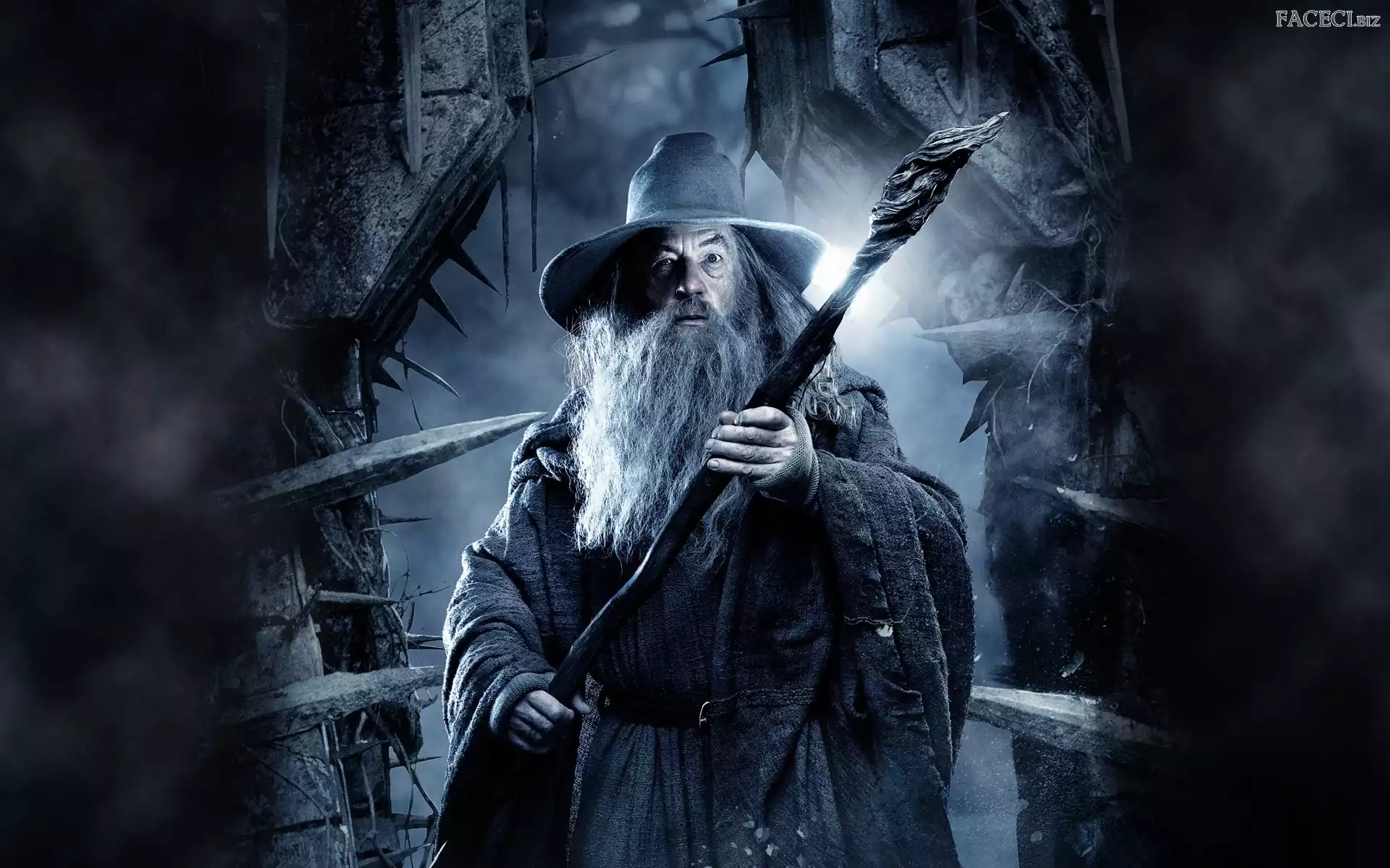 Pustkowie Smauga, Ian McKellen, Hobbit, Gandalf